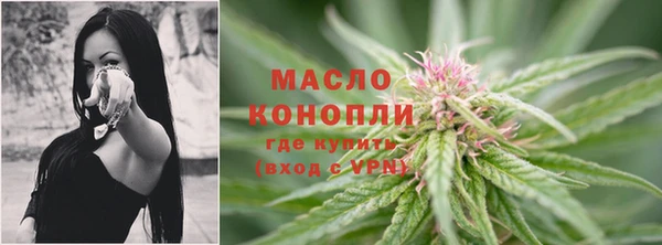 индика Каменногорск