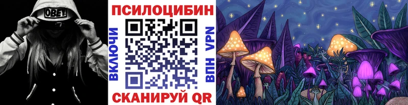 Галлюциногенные грибы GOLDEN TEACHER  Купить где  Карабаш 